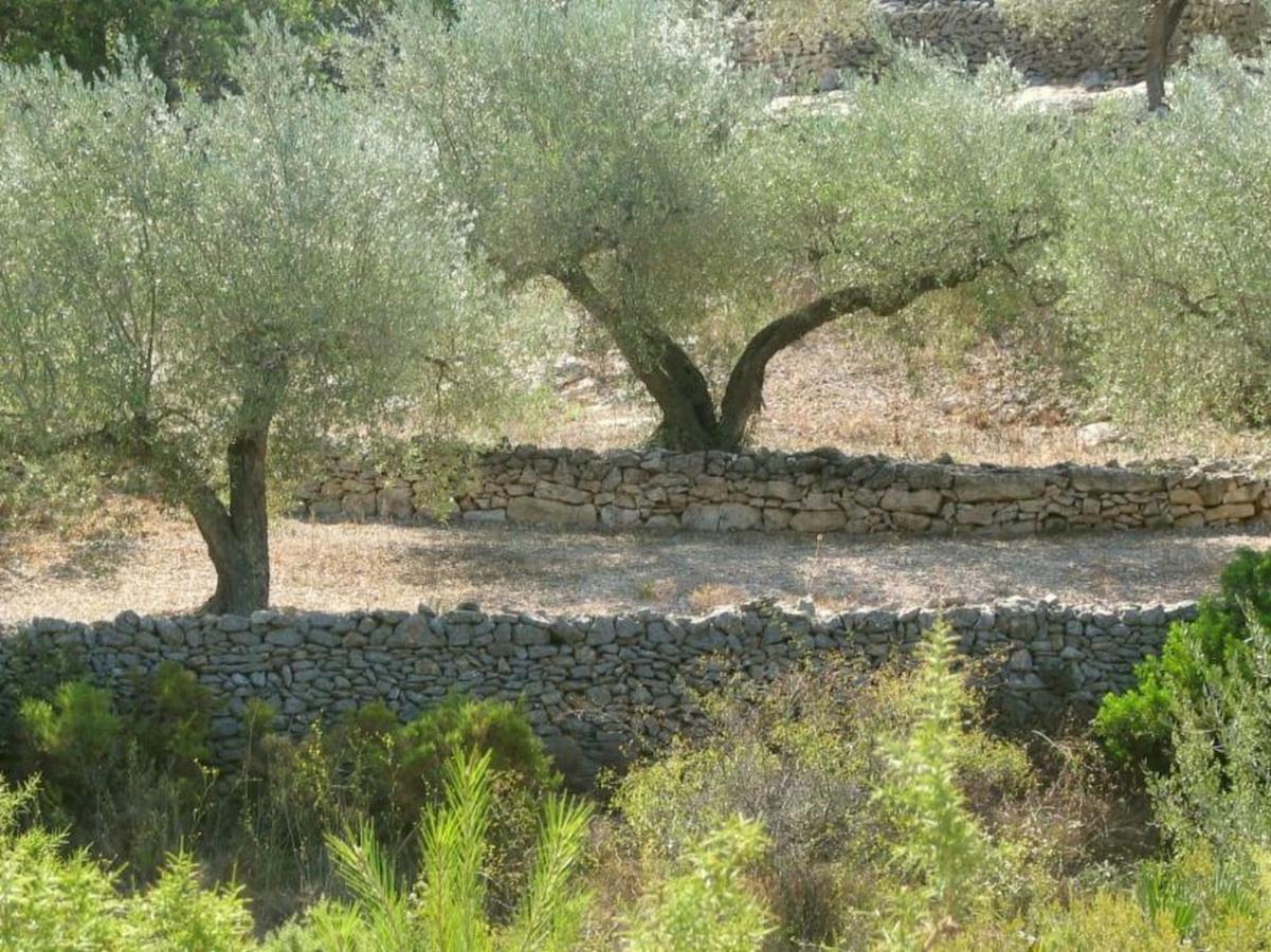 Casa Almendra Villa El Perelló Екстериор снимка